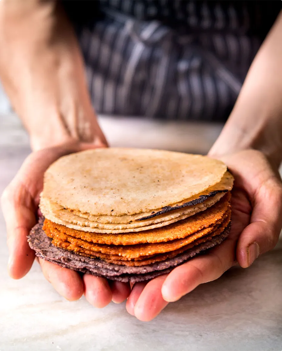 Hands holding cooked tortillas